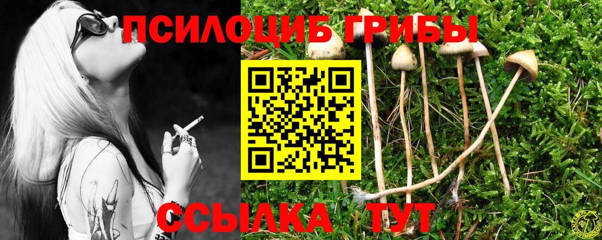 Псилоцибиновые грибы мицелий Калач-на-Дону