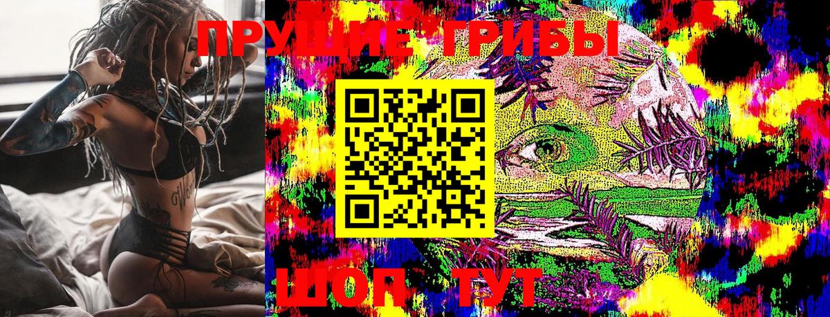 Калач-на-Дону  Галлюциногенные грибы прущие грибы  Вход с VPN 